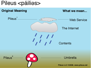 Pileus meaning